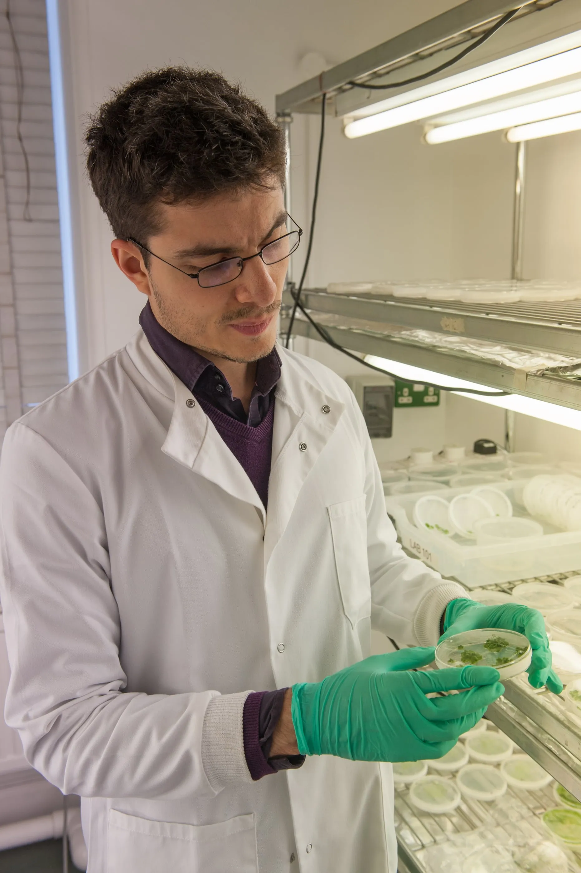 A researcher handling plant samples in gloves at Cambridge Plant Sciences