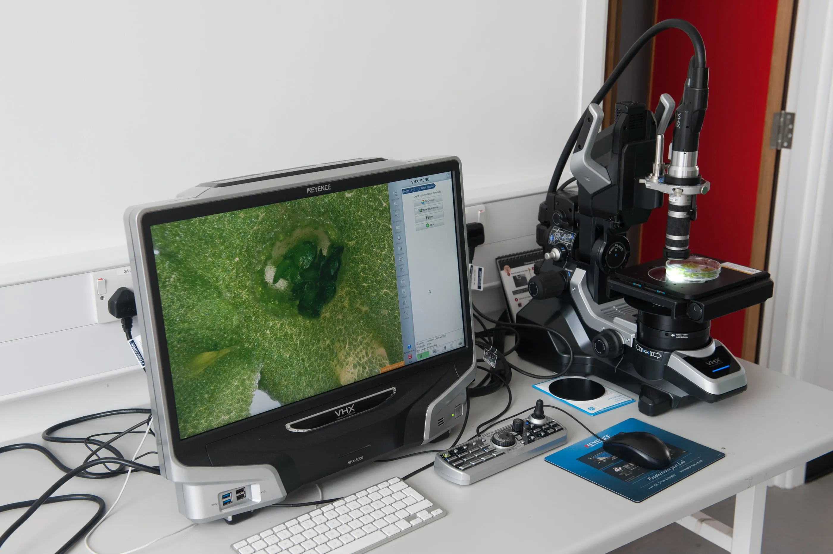 A microscope image of plant tissue displayed on a monitor beside the microscope